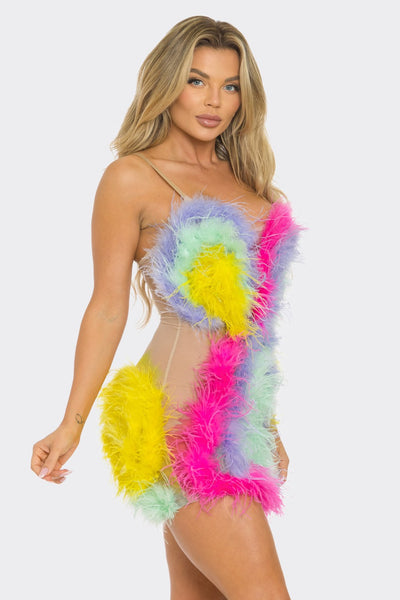 Colorful Ostrich - Angel Brinks
