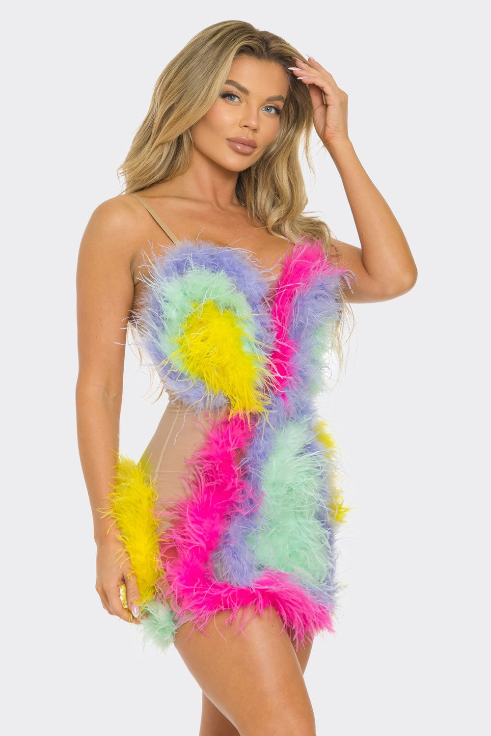 Colorful Ostrich - Angel Brinks